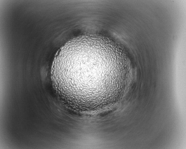 X0000088421059200706051207