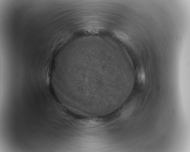 X0000088421060200706051207
