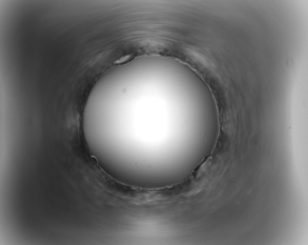 X0000088421061200706051207