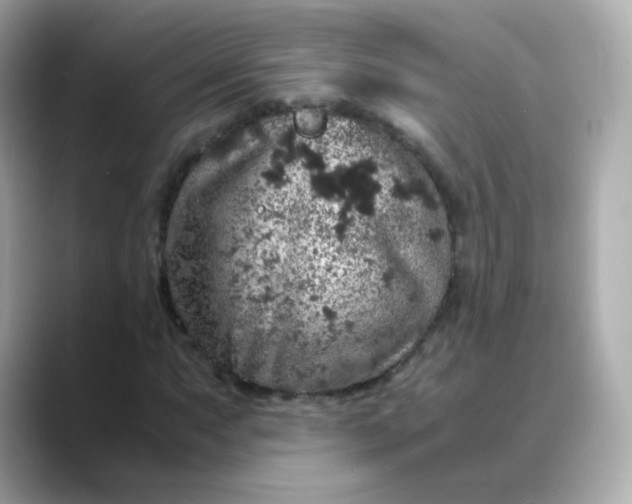 X0000088421063200706051207