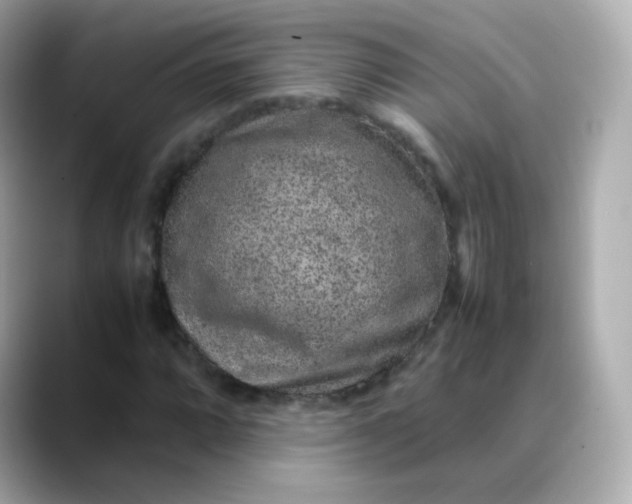 X0000088421064200706051207
