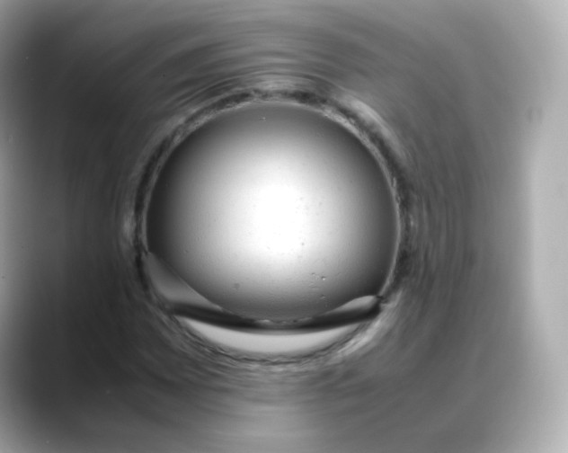 X0000088421065200706051207
