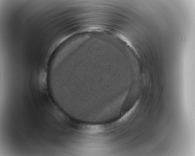 X0000088421066200706051207