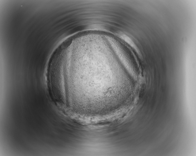 X0000088421068200706051207