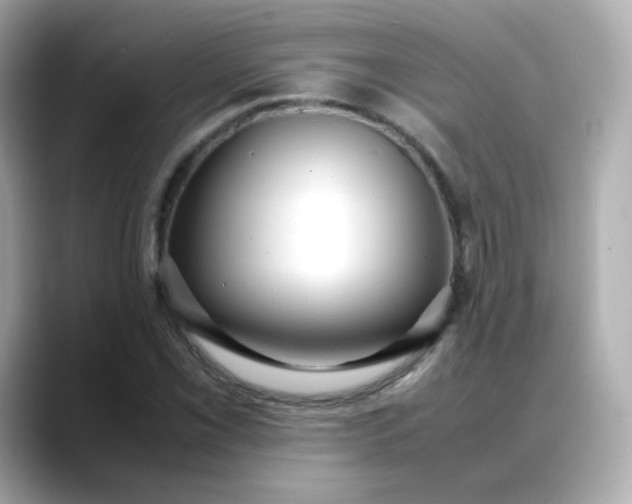 X0000088421069200706051207