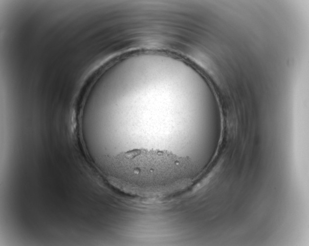 X0000088421070200706051207