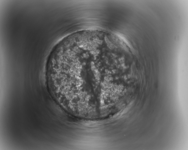 X0000088421071200706051207