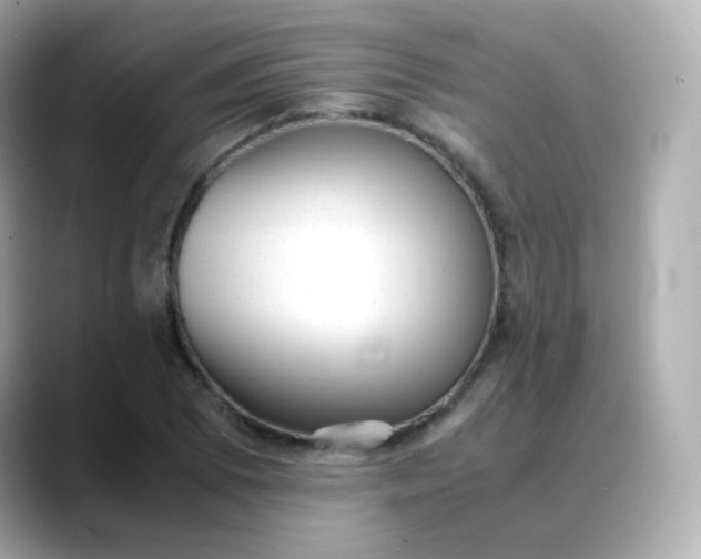X0000088421073200706051207