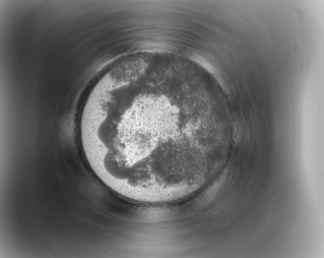 X0000088421074200706051207