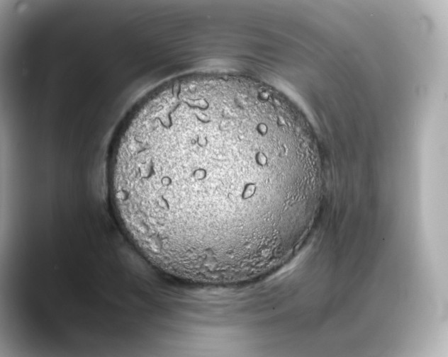X0000088421075200706051207