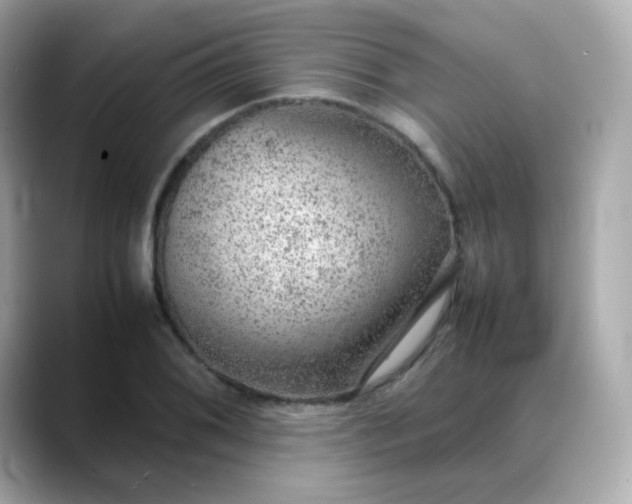 X0000088421076200706051207