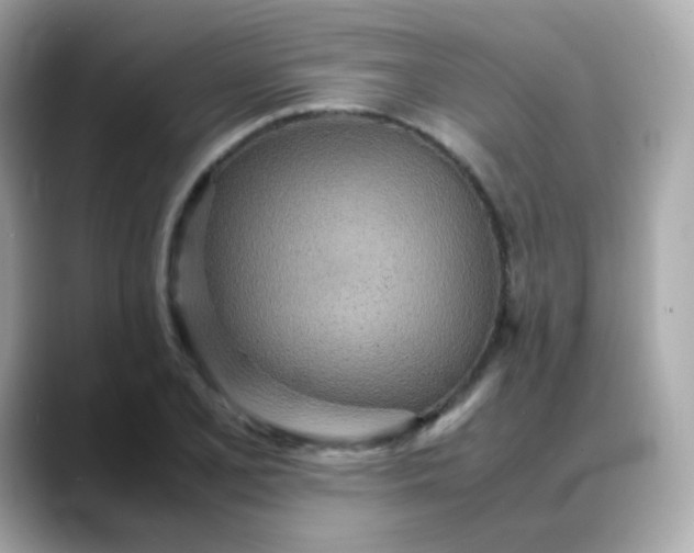 X0000088421077200706051207