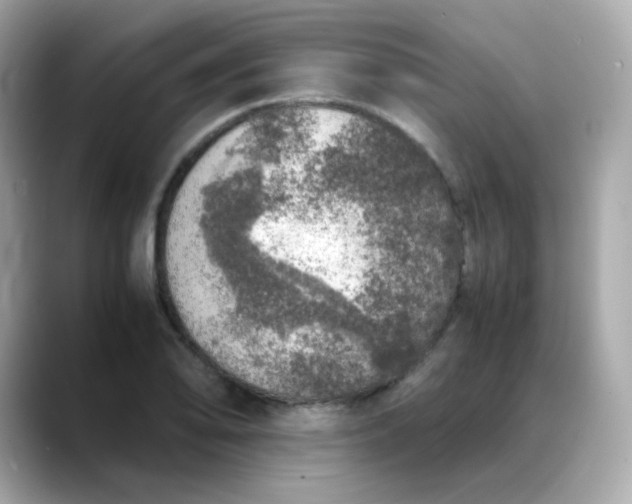 X0000088421078200706051207