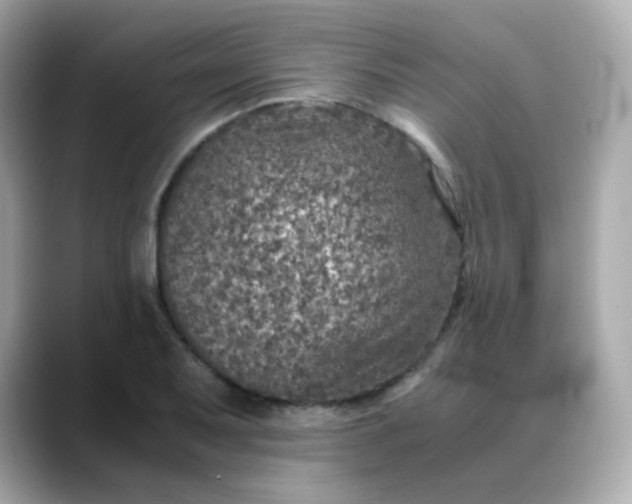 X0000088421079200706051207