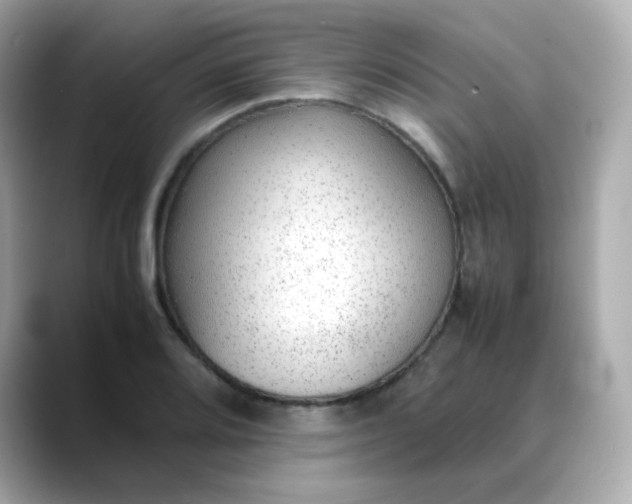 X0000088421080200706051207