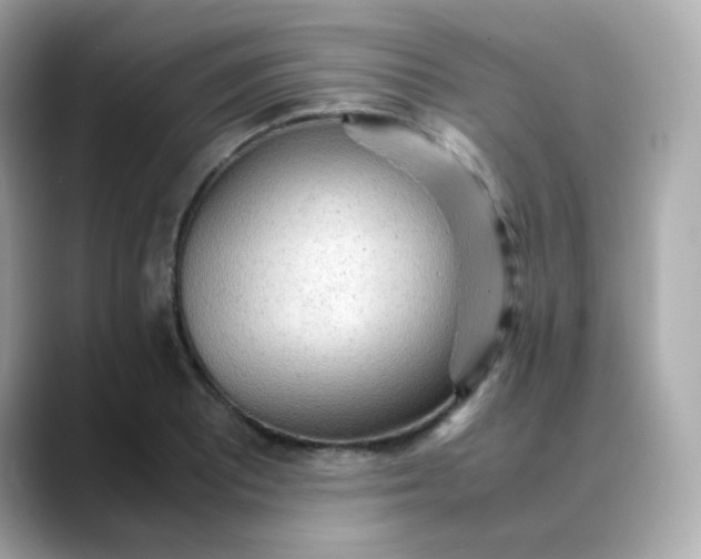 X0000088421081200706051207