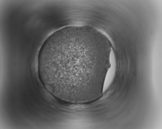 X0000088421083200706051207