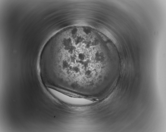 X0000088421084200706051207