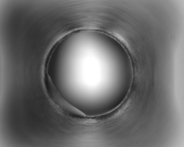 X0000088421085200706051207