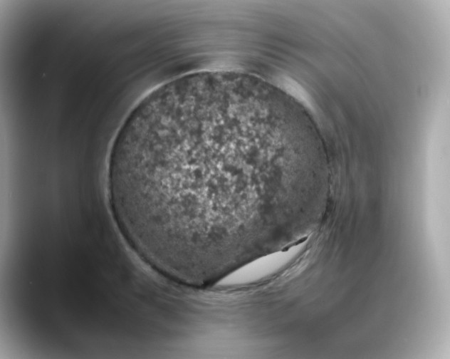 X0000088421087200706051207