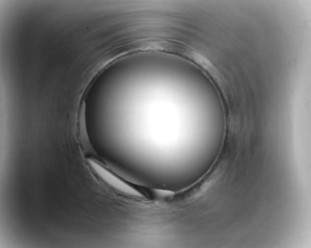 X0000088421089200706051207