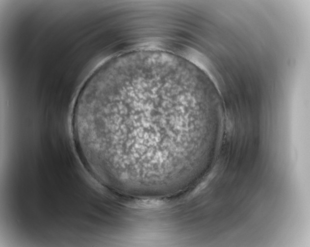 X0000088421090200706051207