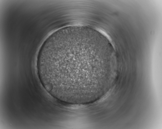 X0000088421091200706051207
