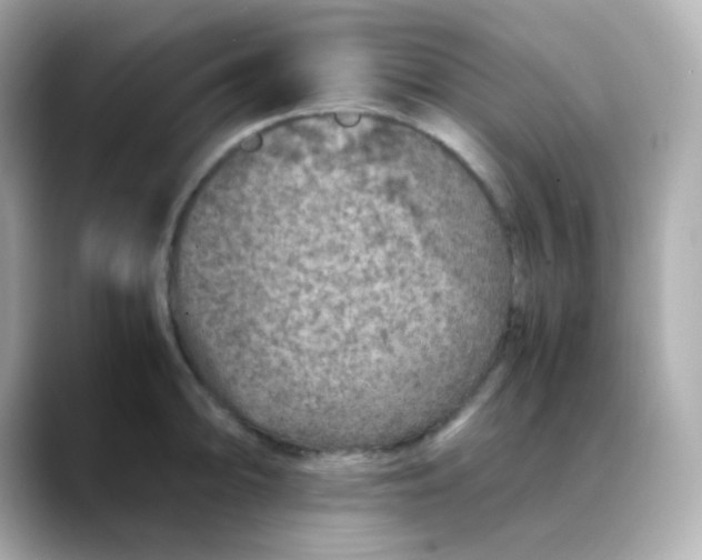 X0000088421094200706051207