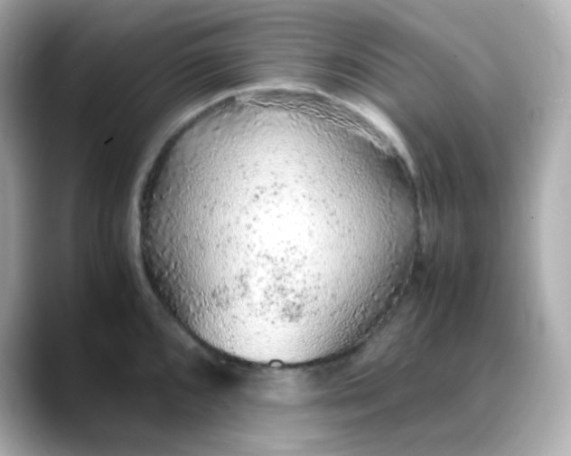 X0000088421096200706051207