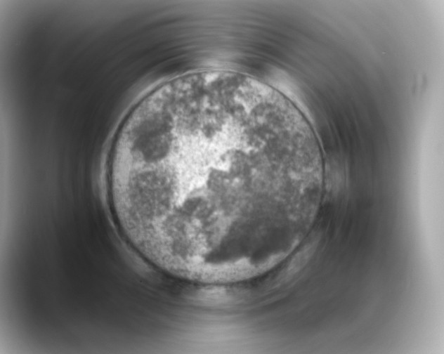 X0000088421098200706051207
