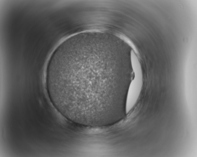 X0000088421099200706051207