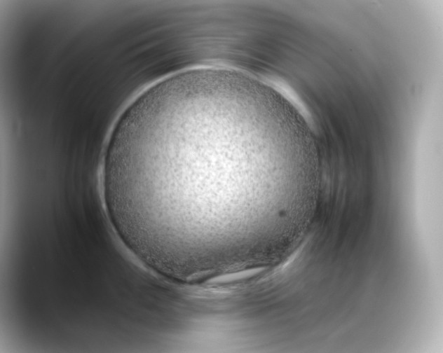 X0000088421100200706051207