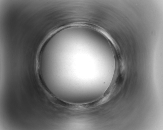 X0000088421101200706051207