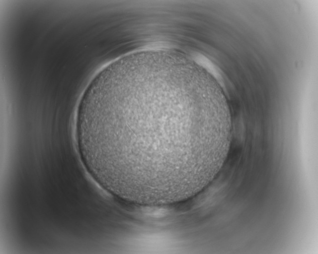 X0000088421103200706051207