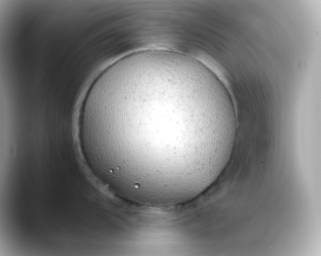 X0000088421104200706051207