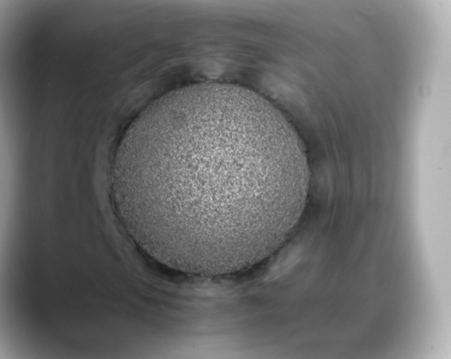 X0000088421105200706051206