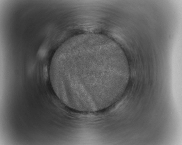 X0000088421106200706051206