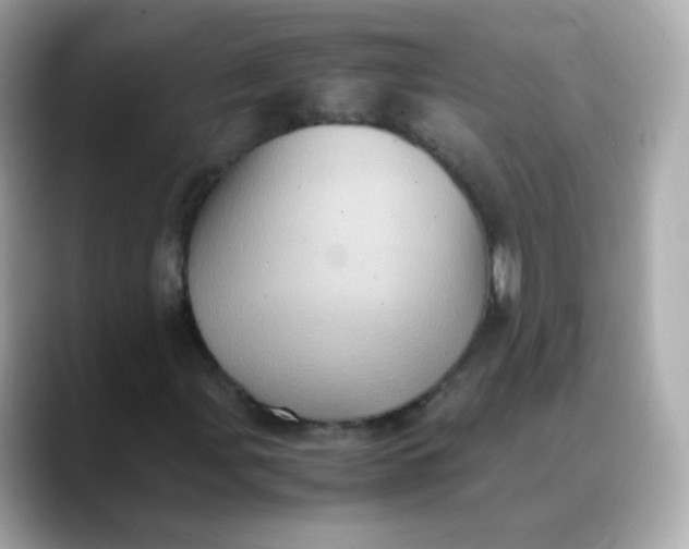 X0000088421107200706051206