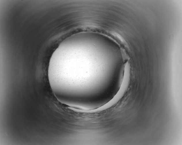 X0000088421112200706051206