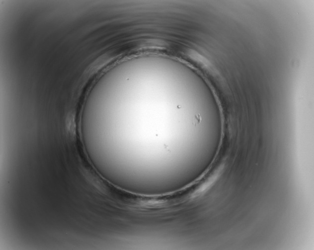 X0000088421113200706051206