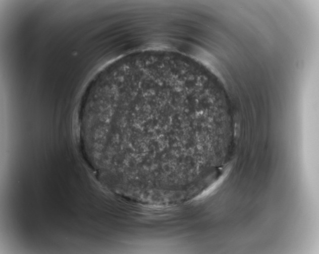X0000088421117200706051206