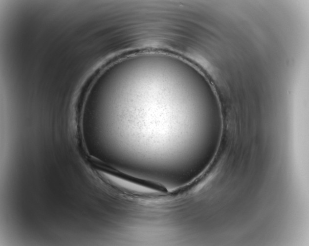 X0000088421118200706051207