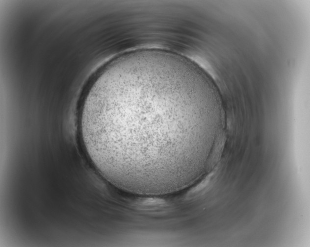 X0000088421119200706051207