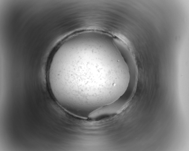 X0000088421120200706051207