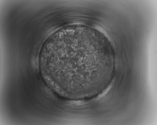 X0000088421121200706051207