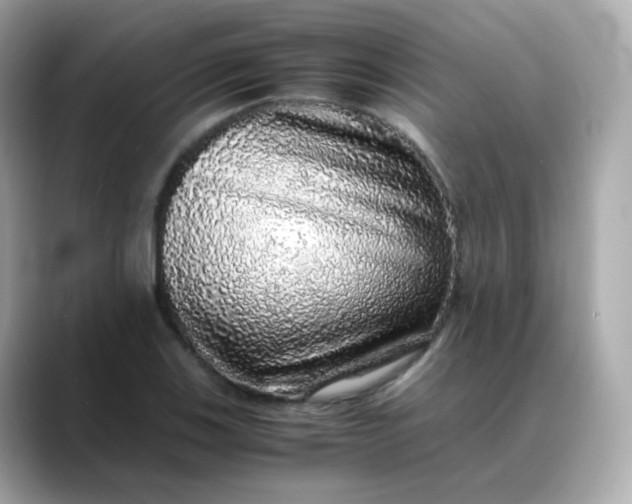 X0000088421123200706051207