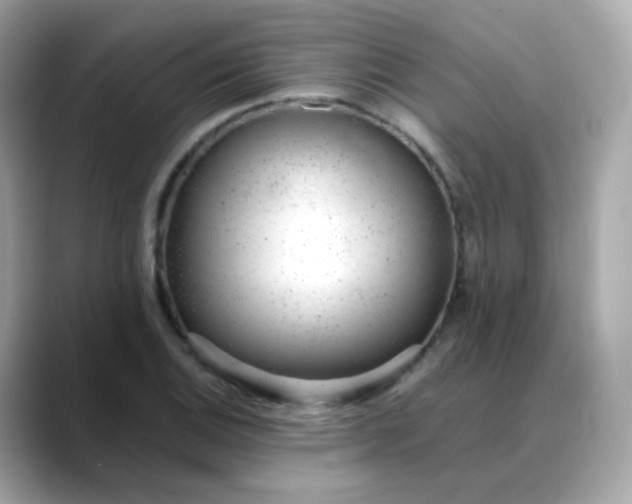 X0000088421124200706051207