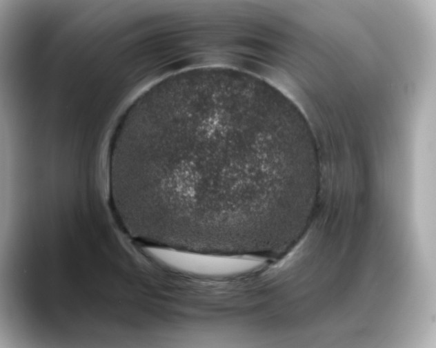 X0000088421127200706051207