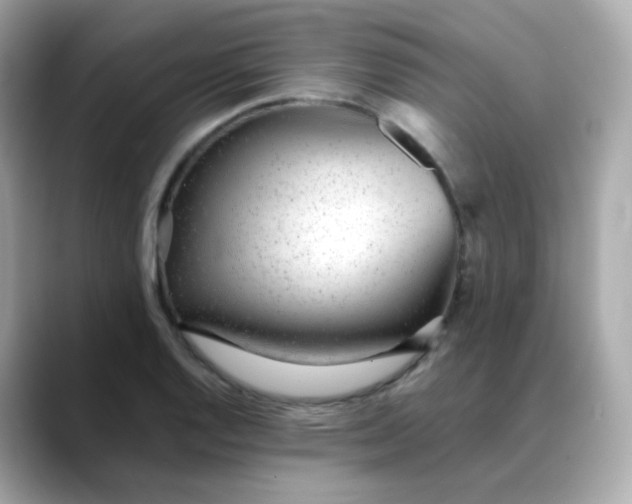 X0000088421128200706051207