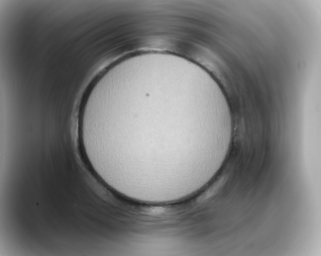 X0000088421130200706051207